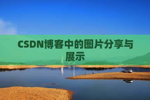 CSDN博客中的图片分享与展示